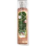 Bath & Body Works Fairytale Tělový sprej 236 ml – Zbozi.Blesk.cz