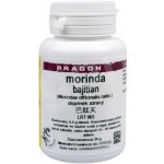 Pragon Morinda Bajitian instantní prášek 20 g – Hledejceny.cz
