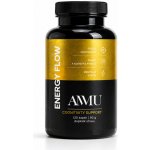AMMU Energy Flow 120 kapslí – Hledejceny.cz