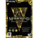 Hra na PC Morrowind GOTY