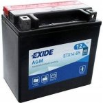 Exide YTX14L-BS, ETX14L-BS | Zboží Auto