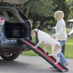 Henry Wag Nástupní rampa do auta skládací 155 x 40 cm – Sleviste.cz