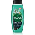 Radox Sprchový gel a šampon pro muže 2v1 Feel Invigorated 450 ml – Hledejceny.cz