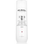 Goldwell Dualsenses Bond Pro Fortifying Shampoo 250 ml – Zboží Mobilmania