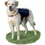 Trixie Ruksak na záda pro psa L-XL černý 31 x 17 cm – Sleviste.cz