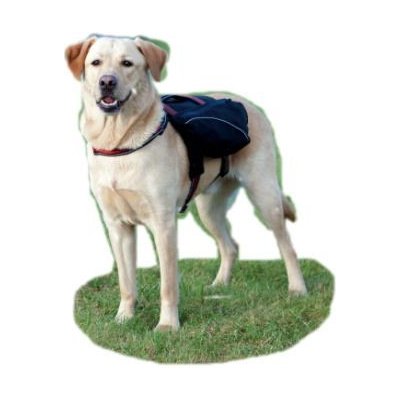 Trixie Ruksak na záda pro psa L-XL černý 31 x 17 cm – Sleviste.cz