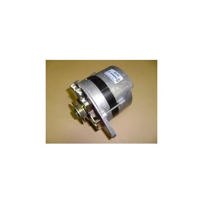 Alternátor MULTICAR M25 /12V/42A/ nový 12455 – Hledejceny.cz