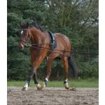 Waldhausen Lonžovací set – Zboží Dáma Waldhausen Lonžovací set – Zboží Dáma