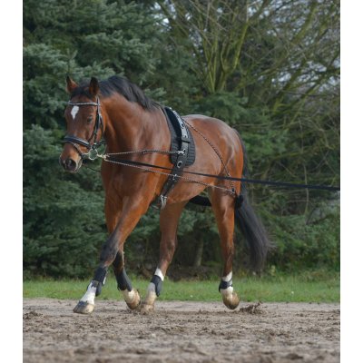 Waldhausen Lonžovací set – Zboží Dáma Waldhausen Lonžovací set – Zboží Dáma