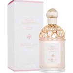 Guerlain Aqua Allegoria Rosa Rossa toaletní voda dámská 125 ml – Hledejceny.cz