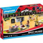 Adventní kalendář Kouzelná Beruška a Černý kocour PLAYMOBIL 71344 – Hledejceny.cz