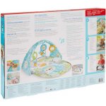 Fisher Price Hudební dečka na hraní s motýlky DYW46 – Hledejceny.cz