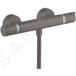 Hansgrohe 13116340 – Hledejceny.cz