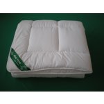 2G Lipov přikrývka Aloe Vera 200x220 – Zboží Dáma