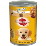 Pedigree Junior s kuřecím masem v želé 400 g – Hledejceny.cz