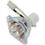 Lampa pro projektor VIVITEK D538W-3D, kompatibilní lampa bez modulu – Sleviste.cz