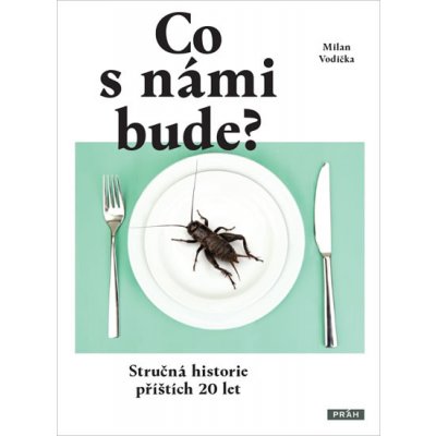 Co s námi bude?. Stručná historie příštích 20 let Milan Vodička Práh