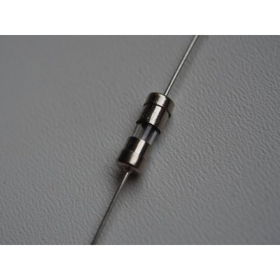 SCHURTER Pojistka tavná zpožděná sklěněná 2A 250VAC 5x20mm FST – Sleviste.cz