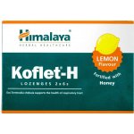 Himalaya Koflet H Ginger 12 pastilek – Hledejceny.cz