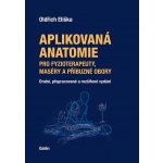Aplikovaná anatomie pro fyzioterapeuty, maséry a příbuzné obory - Oldřich Eliška – Hledejceny.cz