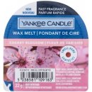 Kringle Candle vosk do aromalampy Cherry Blossom 35 g