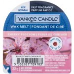 Kringle Candle vosk do aromalampy Cherry Blossom 35 g – Zboží Dáma