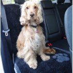 Pet Rebellion Ochranný potah na sedadlo 57 x 140 cm – Hledejceny.cz