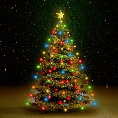 vidaXL Světelná síť na vánoční stromek s 210 LED diodami Vícebarevné 210 cm – Zboží Mobilmania