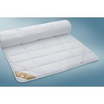 Ložnice21. Podložka Coolmax Origin pro rychlý odvod potu 90x200 250 g/m² – Sleviste.cz