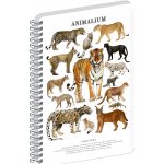 Animalium Spirálový blok Kočkovité šelmy čtverečkovaný A4 – Hledejceny.cz