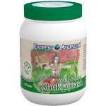 Everest Ayurveda Shukraprash 200 g – Hledejceny.cz
