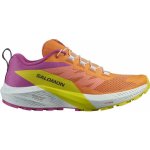 Salomon obuv Sense Ride 5 W 474590 dámské bparad/wht/sulphr – Zbozi.Blesk.cz