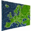 Nástěnné mapy 3D mapa Evropy z mechu - severský lišejník Modrá & Zelená, 90 x 70 cm, Bílé dřevo