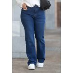 REDSEVENTY DENIM Dámské široké džíny JAMES F339-15 modré – Zboží Dáma