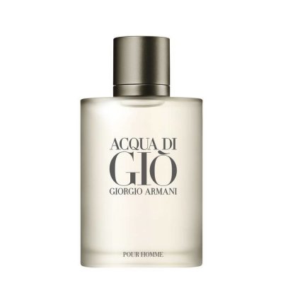 Giorgio Armani Acqua di Giò toaletní voda pánská 100 ml – Zbozi.Blesk.cz