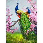 Norimpex Diamantové malování Pávi 30 x 40 cm – Sleviste.cz