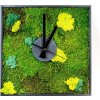 Obraz Gardners Mechové hodiny 35x35 cm z plochého mechu v kombinaci s lišejníkem, přírodní