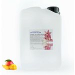 PM Aqualog esence do parních kabin mango 848-003/D 3 l – Hledejceny.cz
