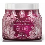Rudy Profumi SRL hydratační tělový krém Positano Rose 450 ml – Hledejceny.cz
