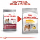 Royal Canin Medium Dermacomfort 10 kg