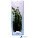 Tetra Anacharis 30 cm – Hledejceny.cz