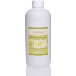 Saloos Bio brutnákový rostlinný olej lisovaný za studena 250 ml – Sleviste.cz