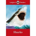 Sharks – Hledejceny.cz