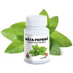 Máta Peprná Menthae Herba Valknut 100+20 kapslí – Hledejceny.cz