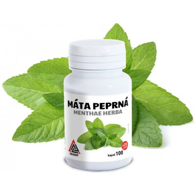 Máta Peprná Menthae Herba Valknut 100+20 kapslí – Hledejceny.cz