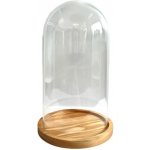 Skleněné terárium - DIY kupole – Hledejceny.cz