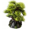 Akvarijní dekorace Duvo+ Bonsai borovice 9,5 cm