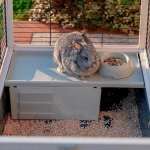 Ferplast Klec Arena 100 100 x 62,5 x 51 cm – Zboží Dáma Ferplast Klec Arena 100 100 x 62,5 x 51 cm – Zboží Dáma