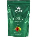 Dnm company bylinná henna 150 g