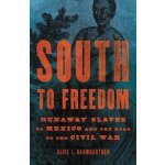 South to Freedom: Runaway Slaves to Mexico and the Road to the Civil War Baumgartner Alice L.Pevná vazba – Hledejceny.cz